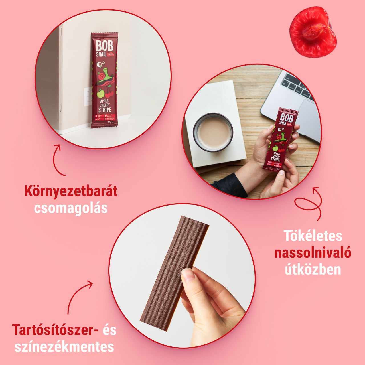 Hu_stripe_14_cherry_ 4