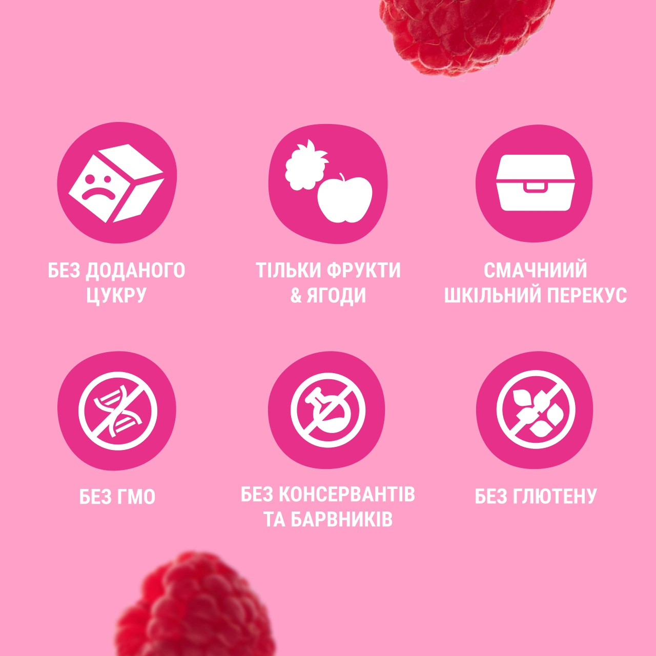 UA_fruit_snack_20_rasbp 3